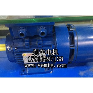 YEJ132MC2-11KW三相異步制動電機(jī)