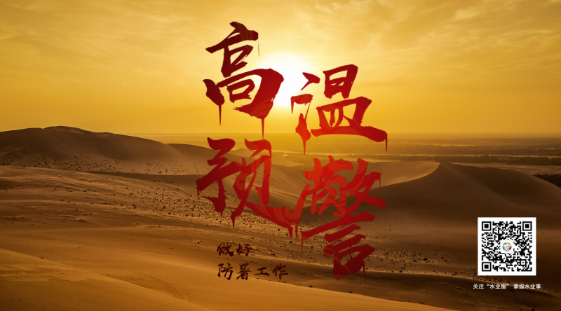 圖片2