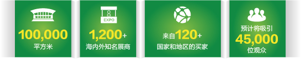 圖片5