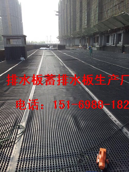 北京3/5公分車庫頂板排水板～發貨克拉瑪依-- 泰安市澤瑞土工材料有限公司
