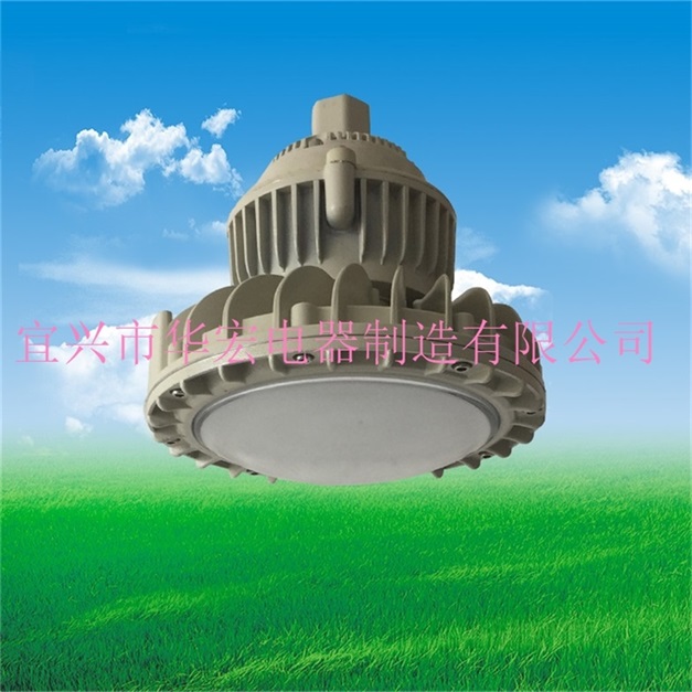 BAD808-M 防爆燈工廠 LED防爆吊桿燈