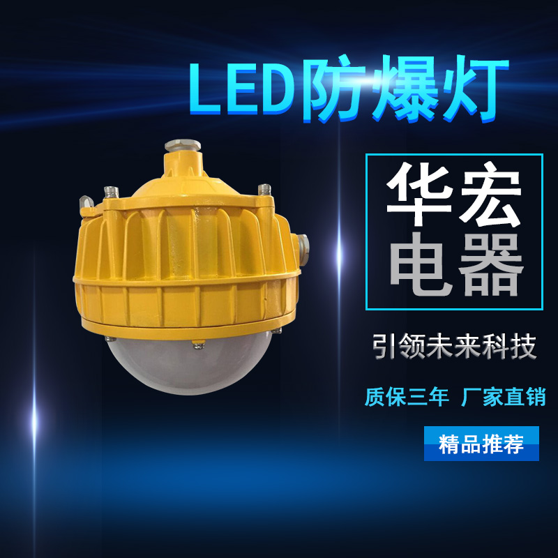 海洋王BPC8766 LED防爆平臺燈 30W 50W