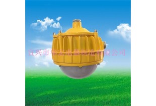 海洋王BPC8766 LED防爆平臺燈