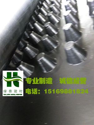 四川省成都1.2公分車庫排水板廠家有貨15169881824-- 泰安市澤瑞土工材料有限公司