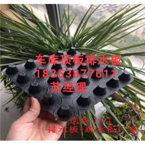 塑料凸片排水板北京2公分車庫(kù)排水板