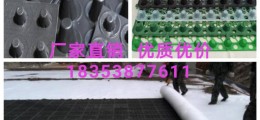 青島20厚車(chē)庫(kù)頂板排水板+綠化隔根板=供應(yīng)