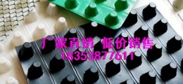 平頂山50高車(chē)庫(kù)蓄排水板√復(fù)合排水板生產(chǎn)基地
