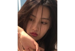 緬甸鼎盛國際15687933337招商加盟