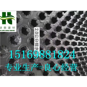 廊坊2公分排水板-車(chē)庫(kù)綠化排水板廠家