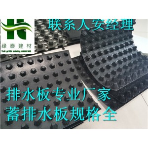 連云港3公分綠化種植車(chē)庫(kù)排水板%廠家