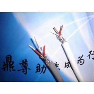 高壓線-鐵氟龍高壓線-AFF-V高壓線-上海鼎尊-- 上海鼎尊特種電線電纜有限公司