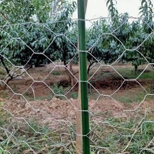 光伏圍欄.光伏區(qū)圍網(wǎng).光熱電站圍欄