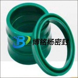 耐腐蝕PFA內包硅膠氟膠VITON密封圈PT