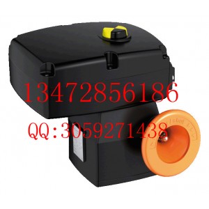德國(guó)依博羅角行程電動(dòng)執(zhí)行器 E50-E21